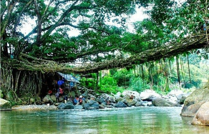 Jembatan Akar